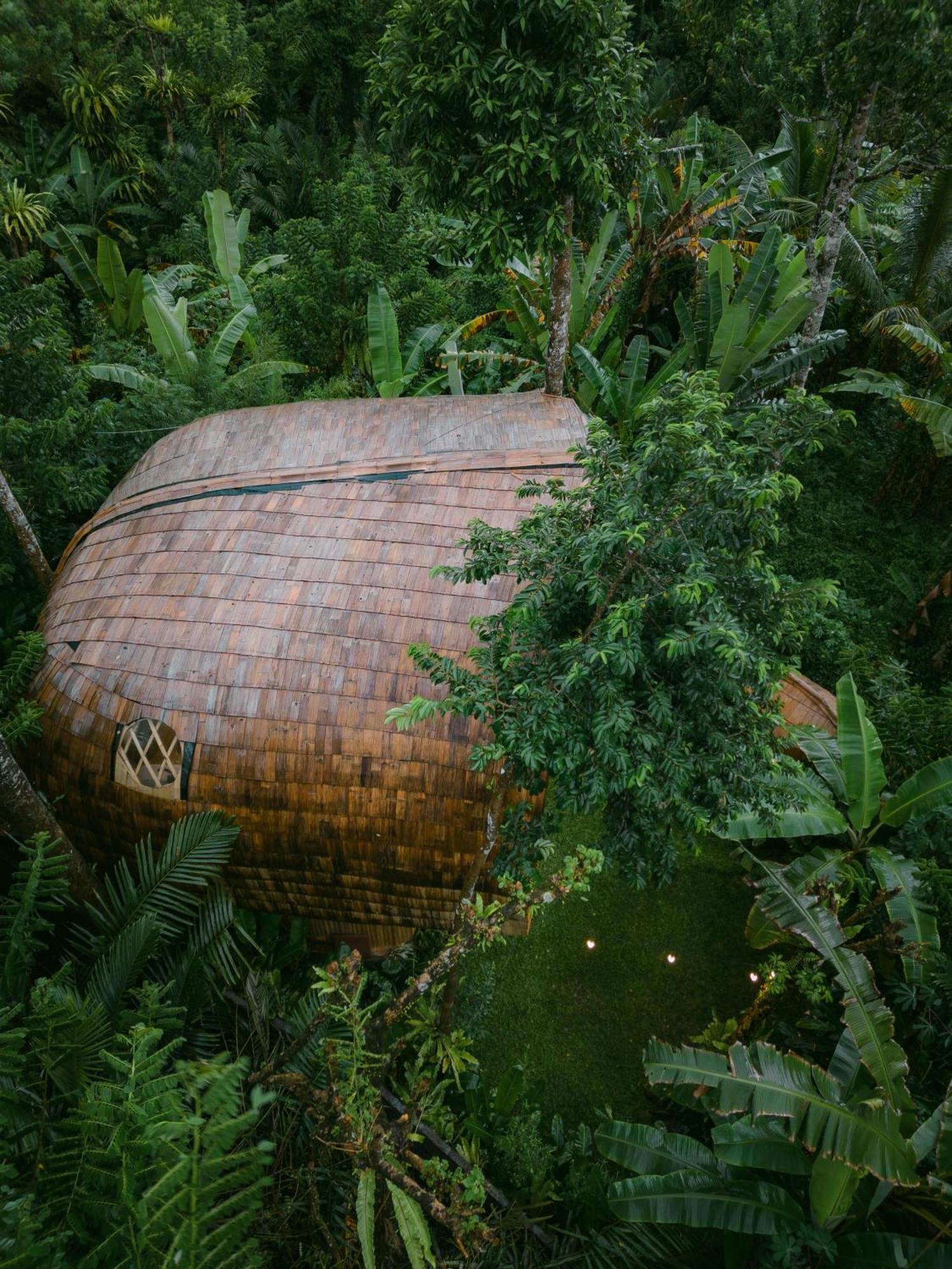 Alamvaya Bali Bamboo House Villa Sidemen  Eksteriør billede