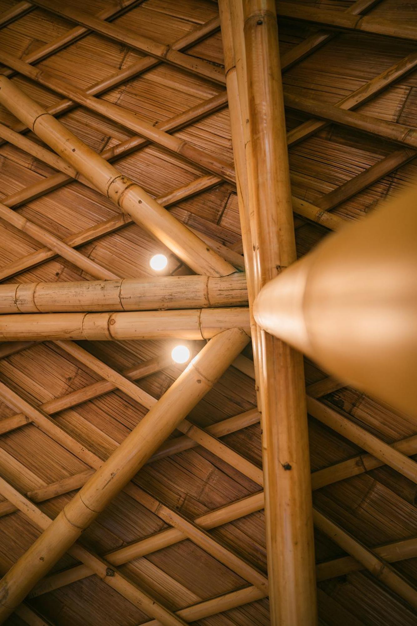 Alamvaya Bali Bamboo House Villa Sidemen  Eksteriør billede
